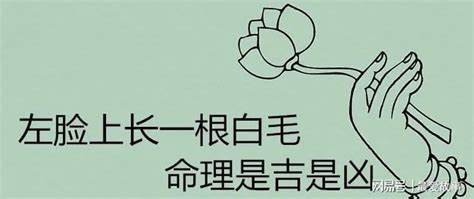 臉長一根白毛|為啥身上會長出一兩根特別長的毛毛？是長壽聰明招財。